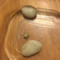 amazing pet rock Care