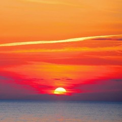 Christopher Williams 55