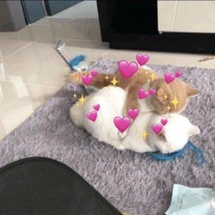 Илона Слободенюк