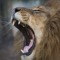roar arntz