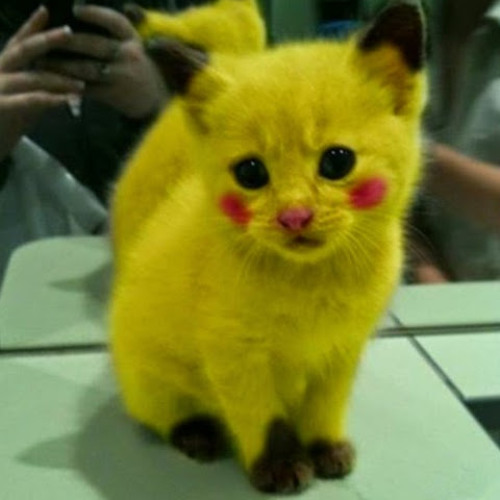 John.bis.T - Бен В Малинках