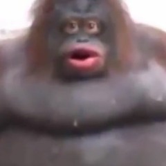 ThickWeenus