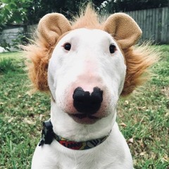 Ellamae M (Ella)