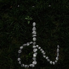 nOOOOOooooooºººº