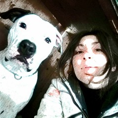 francy