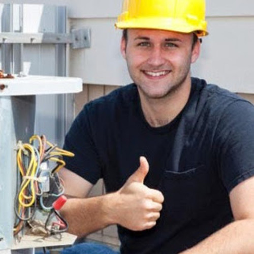 Stream NYC PIGEON CONDITIONER music Listen to songs, albums