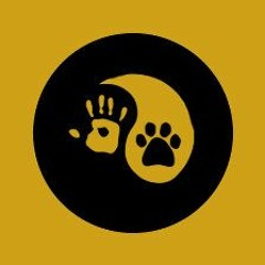 ✪ Muhammad Reza Account acctive  ✪