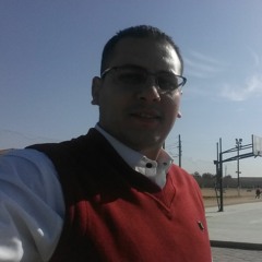 ayman.bahgat