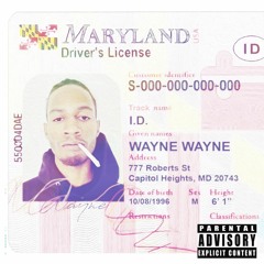 Wayne Wayne