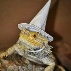 Lizard WIZARD