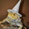 Lizard WIZARD