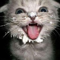 CocoKitty