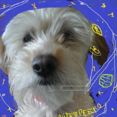 AstroDog