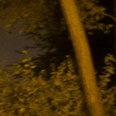 Jasper Aurum Baltazar