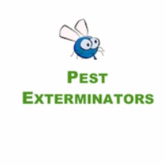 Pest Control in London