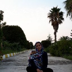 tayebeh tabatabaeifar