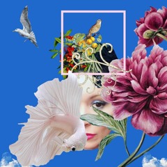 Patricia Marx Medicine Sounds