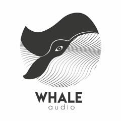 WhaleAudio - Sound Agency