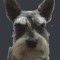 kenjo