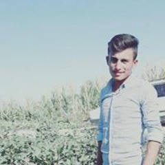 Mehmet Öz