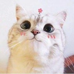 New private playlist