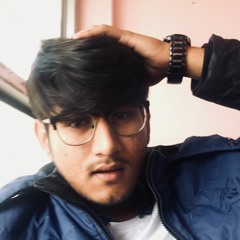 ronak rajpurohit