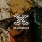 Xander Ace