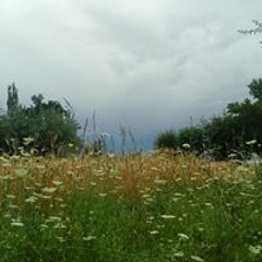 SaaRa Baloch