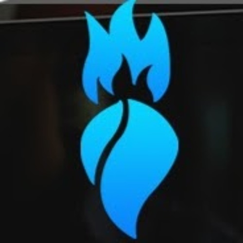 Fireberrytech’s avatar