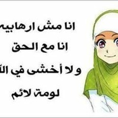 habeba~shaltout