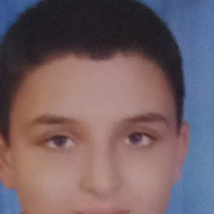 Hesham Hussein
