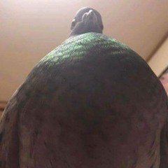matilda