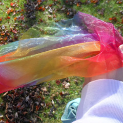 Sunlight Rainbows
