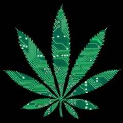 chronic