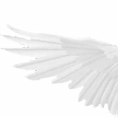 Winged Messenger