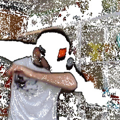 YEET729 YEET729