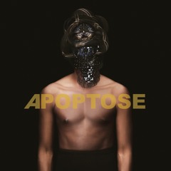 Apoptose