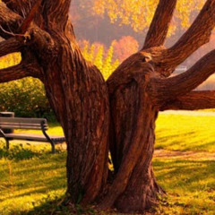 Adriana Morales Pérez