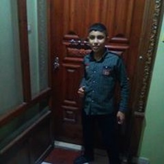 مصطفى حمدى