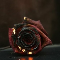 SoulSinged