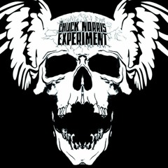 Chuck Norris Experiment