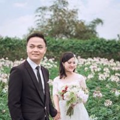 Sơn Đỗ