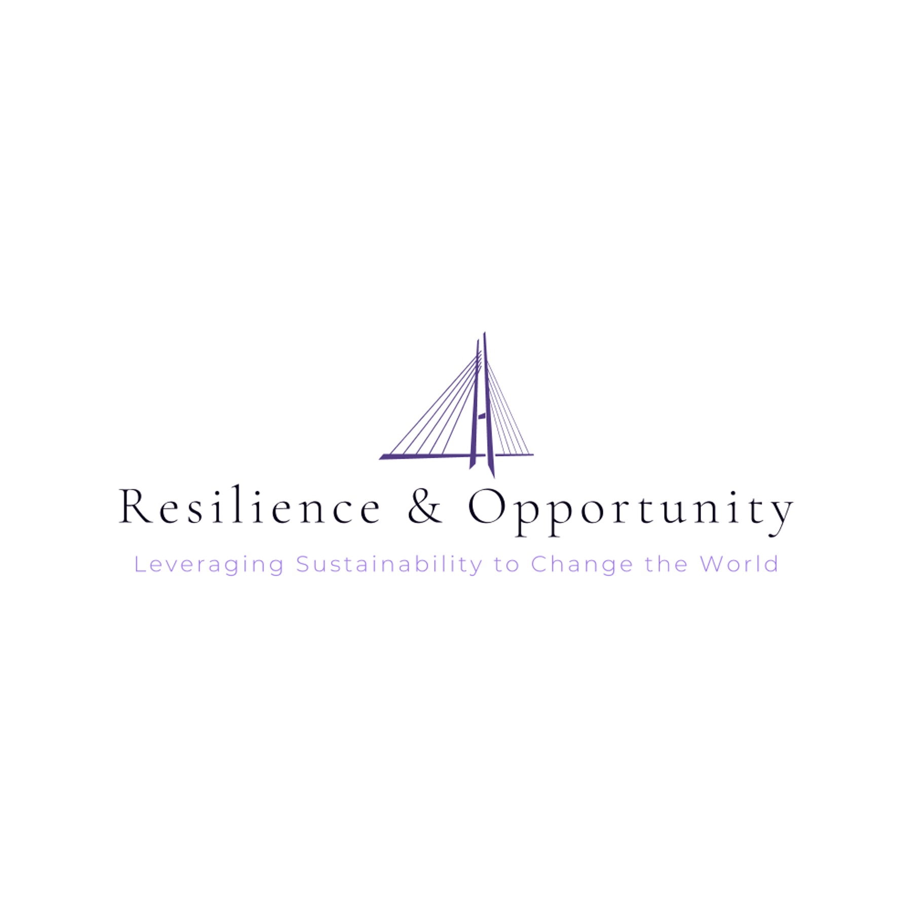 Resilience and Opportunity