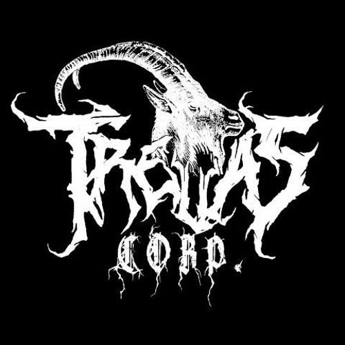 CORP.TREVAS’s avatar