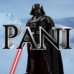 pani9299