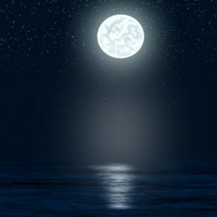 شيعه وفرحنا