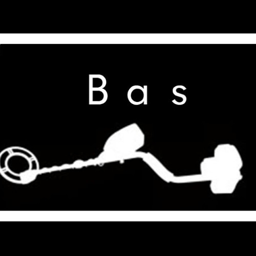 Bas Berrevoets’s avatar