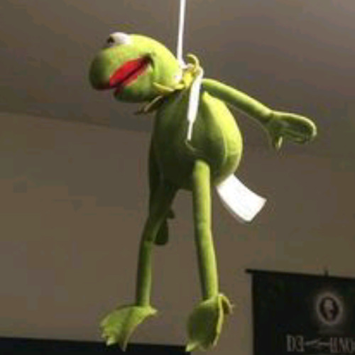 Kermit Hanging From Ceiling Fang