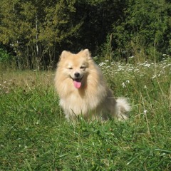 Woldzienski Saunders