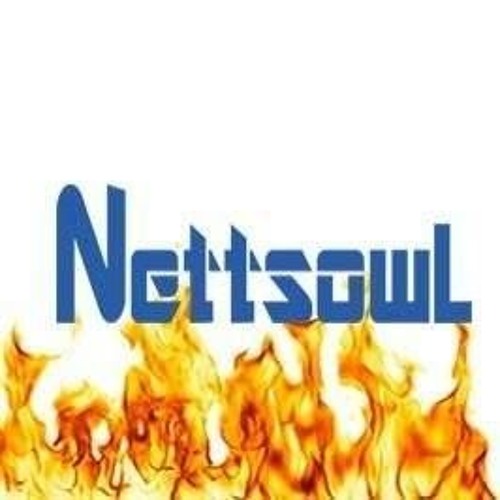 Nettsowl’s avatar